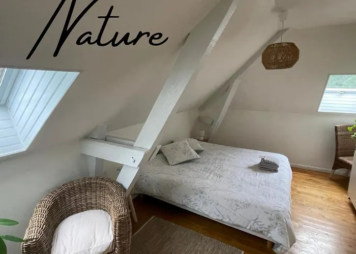 Bed & Breakfast Bains De Secours, D'hotes