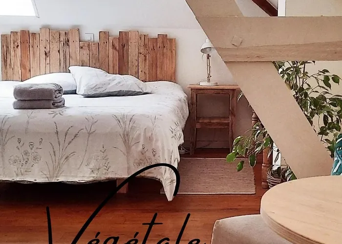 Bed & Breakfast Bains De Secours, D'hotes